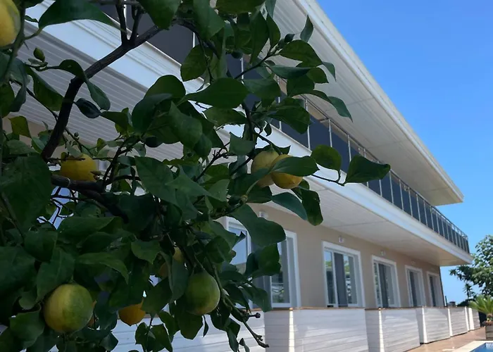 Gradina 아파트호텔 3*